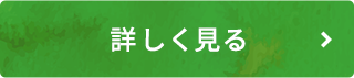 詳しく見る